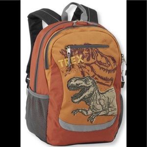 ll bean discovery glow backpack